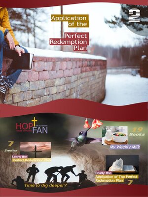 cover image of Application of the Perfect Redemption Plan 2